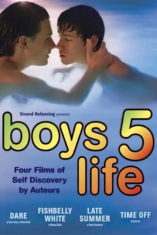 Boys Life 5 (фильм)