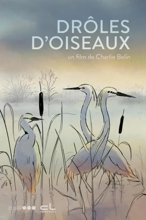 Drôles d'oiseaux (фильм)