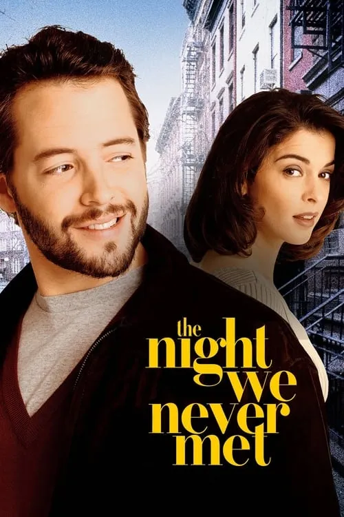 The Night We Never Met (movie)