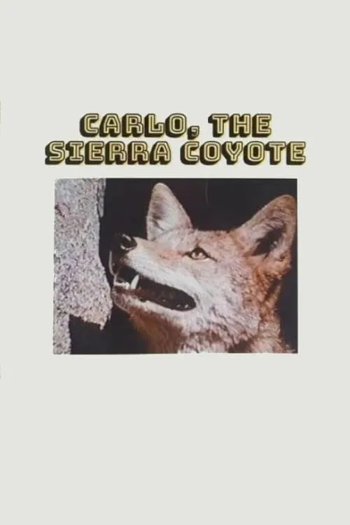 Carlo the Sierra Coyote (movie)