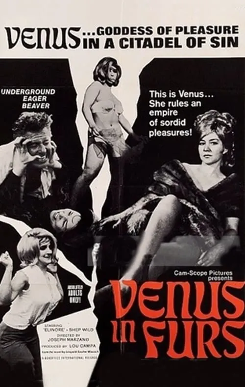 Venus in Furs (фильм)