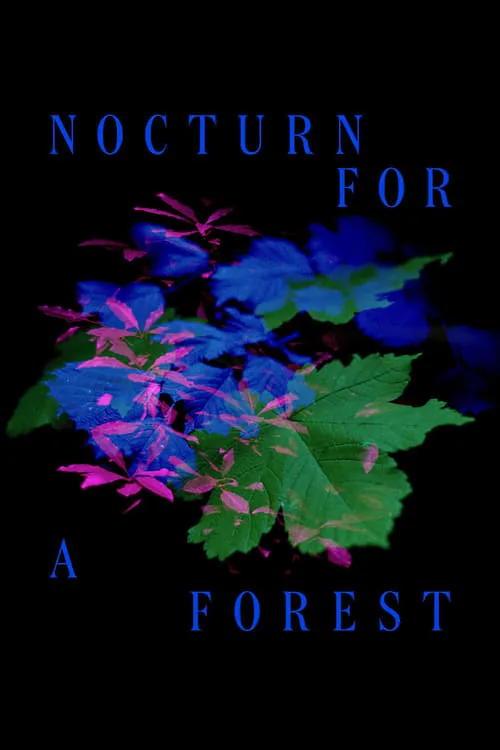 Nocturno Para Uma Floresta (фильм)