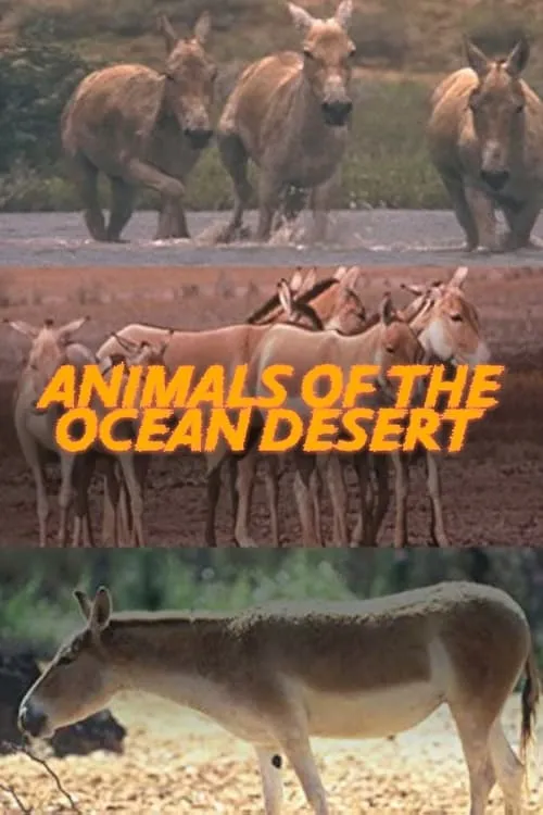 Animals of the Ocean Desert (movie)