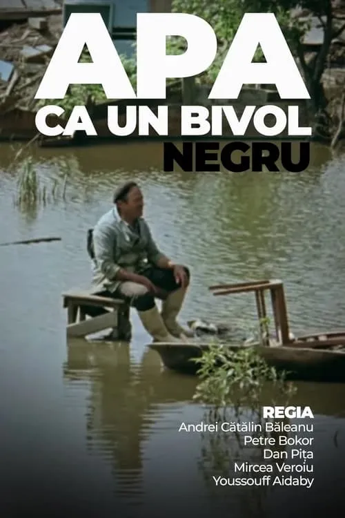 Apa ca un bivol negru (фильм)