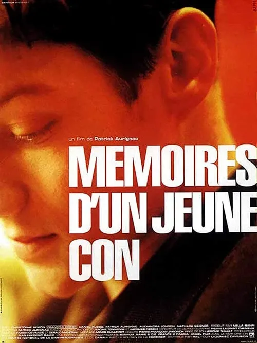 Mémoires d'un jeune con (movie)