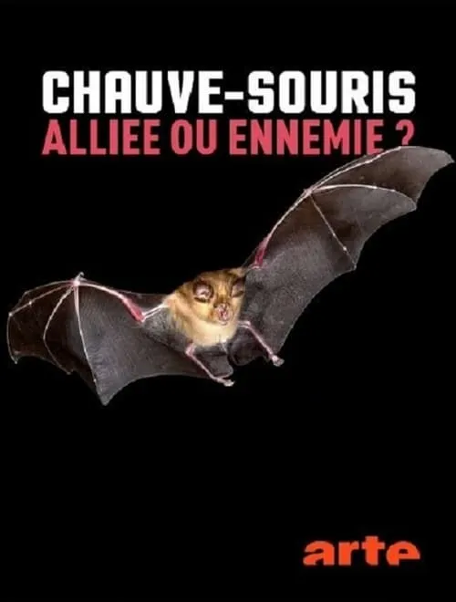 Chauve-souris: alliée ou ennemie? (фильм)