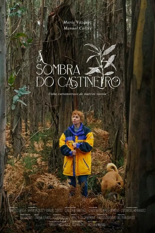 Á sombra do castiñeiro (фильм)