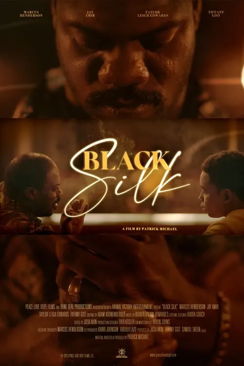 Black Silk (movie)