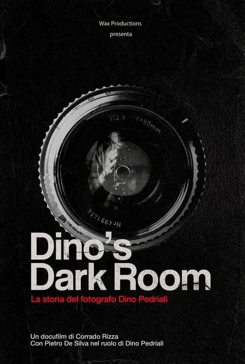 Dino's dark room (фильм)