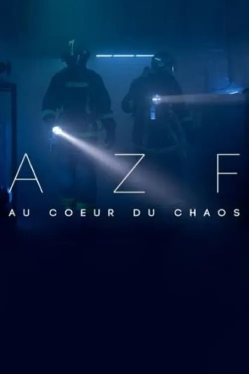 AZF : au cœur du chaos (movie)