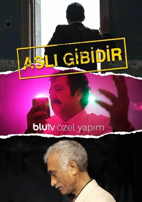 Aslı Gibidir (movie)