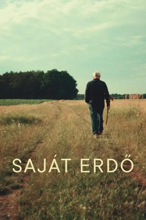 Saját erdő