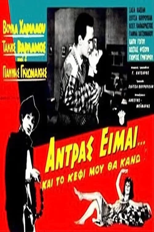 Άντρας είμαι και... το κέφι μου θα κάνω! (фильм)