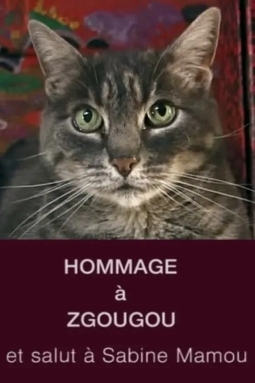 Hommage à Zgougou (et salut à Sabine Mamou) (фильм)