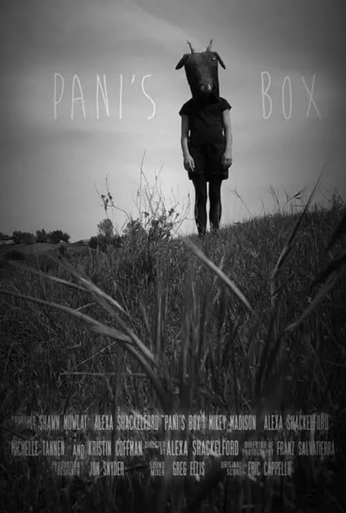 Pani's Box (фильм)