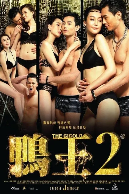 The Gigolo 2 (movie)