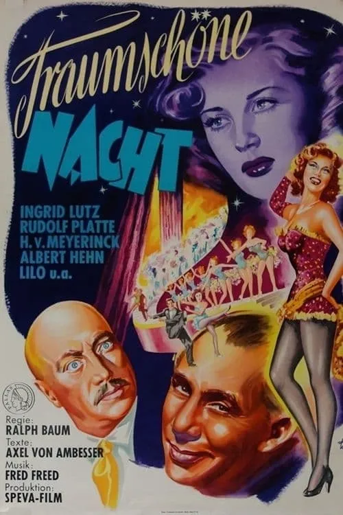 Traumschöne Nacht (movie)