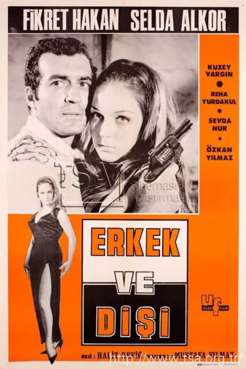 Erkek ve Dişi (movie)