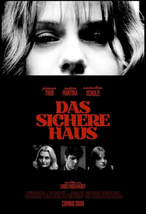 Das Sichere Haus (movie)