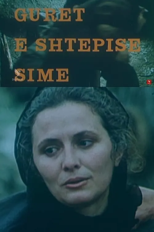 Gurët e shtëpisë sime (фильм)