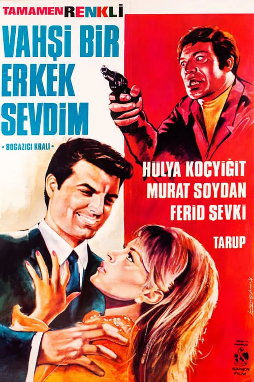 Vahşi Bir Erkek Sevdim (movie)