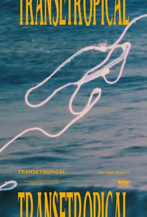 Transetropical (фильм)