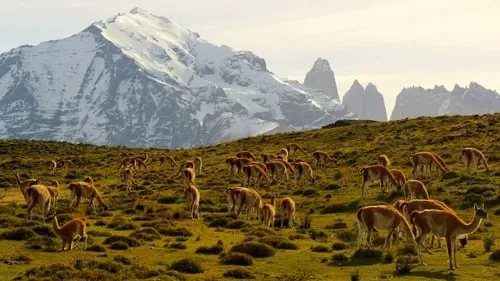 From Chile to Patagonia