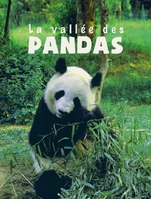 La Vallée Des Pandas (фильм)