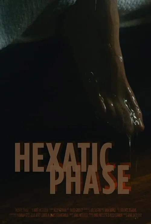 Hexatic Phase (movie)