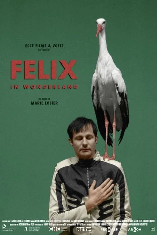 Felix in Wonderland (movie)