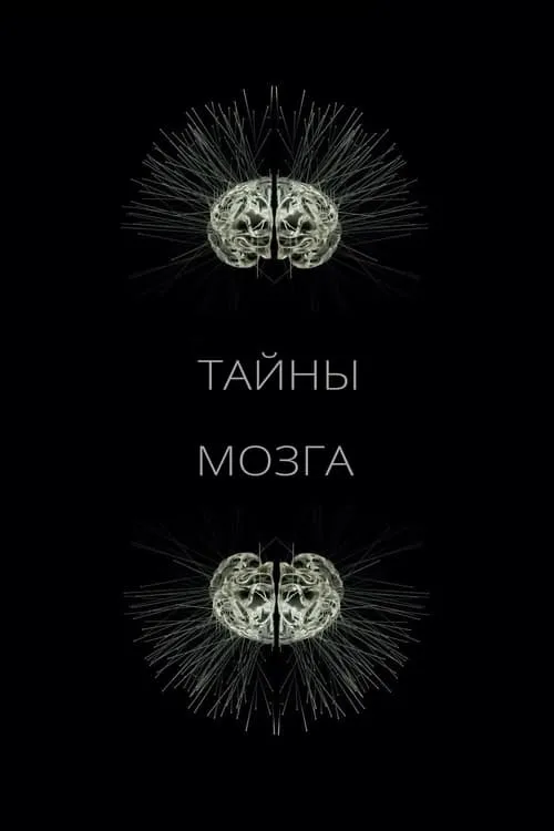 Тайны мозга (сериал)