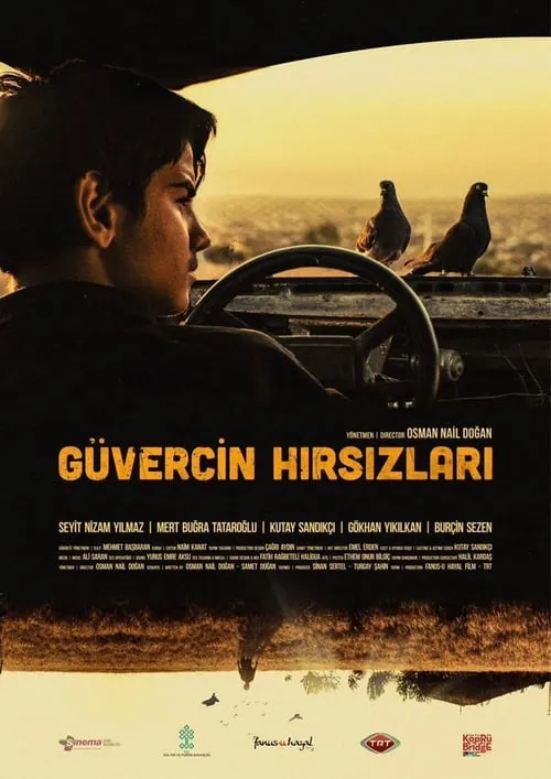 Güvercin Hırsızları (фильм)