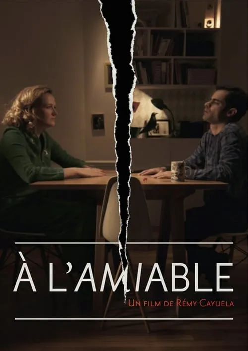 À l'amiable (фильм)