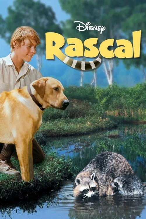 Rascal (movie)