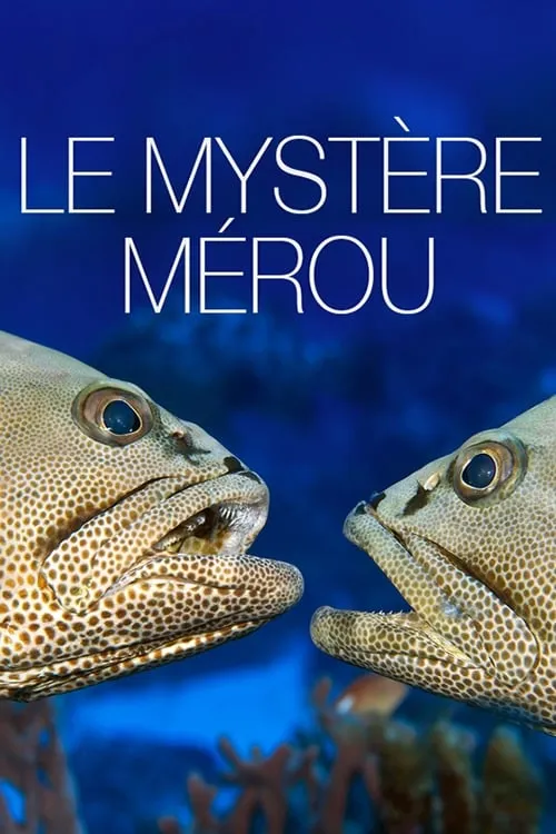 Le Mystère Mérou (фильм)