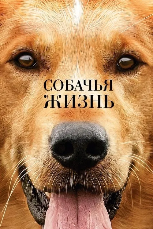 Собачья жизнь (фильм)