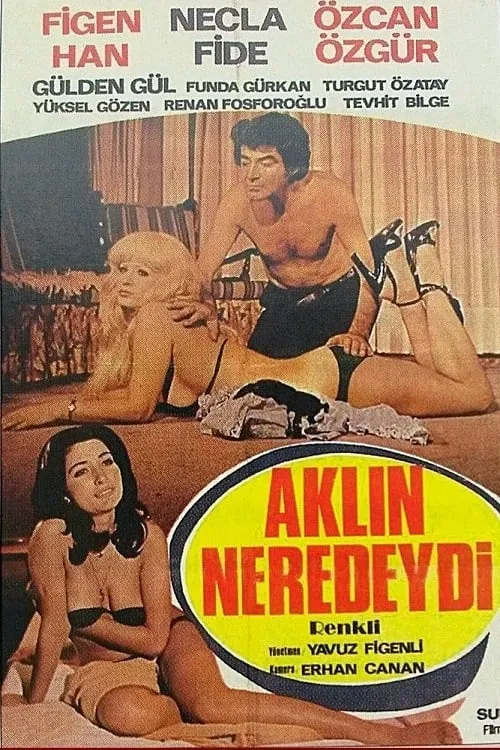 Aklın Neredeydi (фильм)