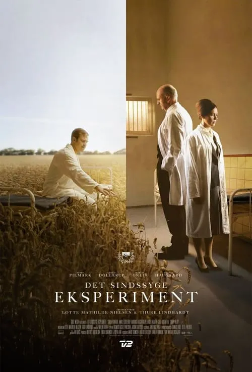 The Insane Experiment (movie)