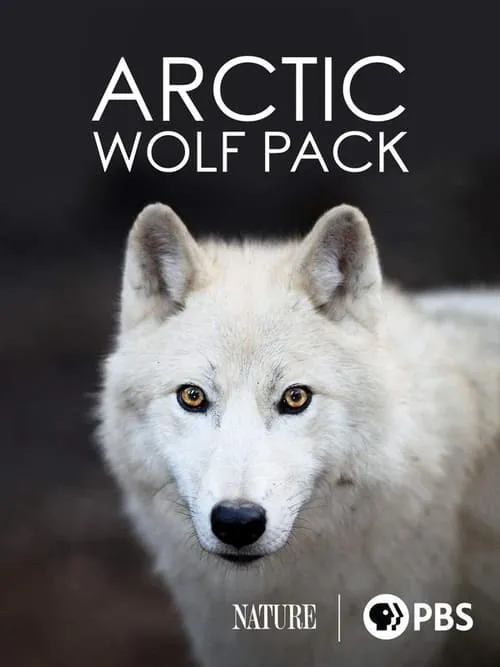 Nature: Arctic Wolf Pack