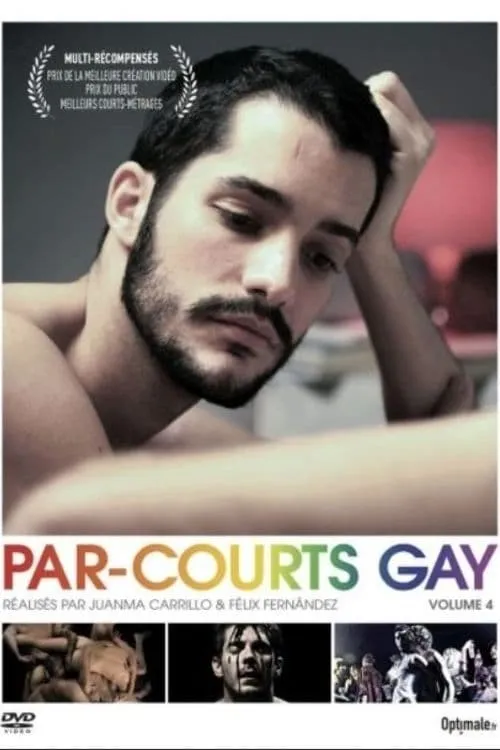 Par-courts Gay, Volume 4 (фильм)