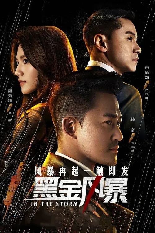 黑金風暴 (сериал)