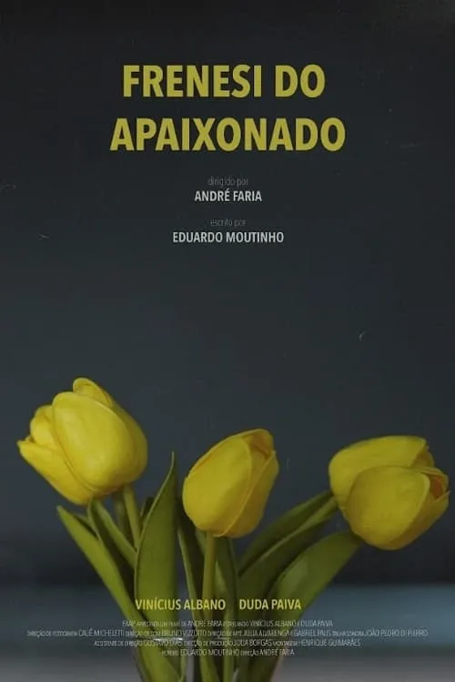 Frenesi do Apaixonado (movie)