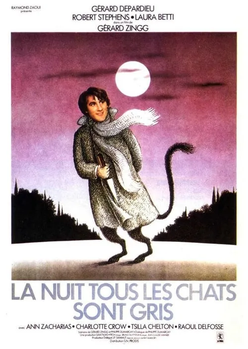 La nuit, tous les chats sont gris (фильм)