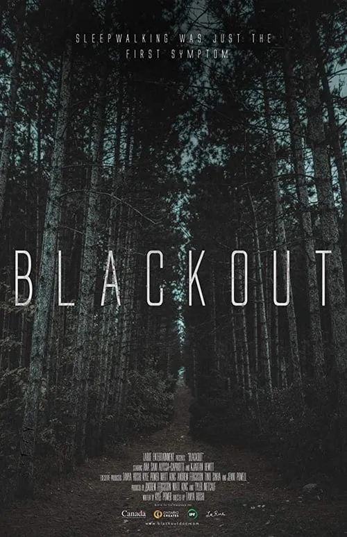 Blackout (сериал)