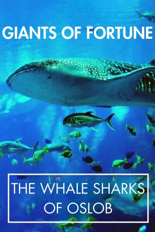 Giants of Fortune: The Whale Sharks of Oslob