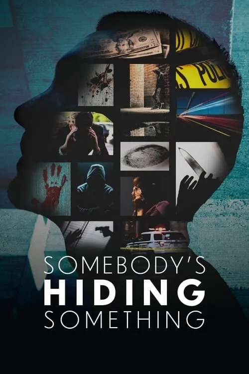 Somebody's Hiding Something (series)