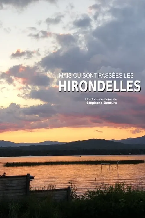 Où sont passées les hirondelles ? (movie)