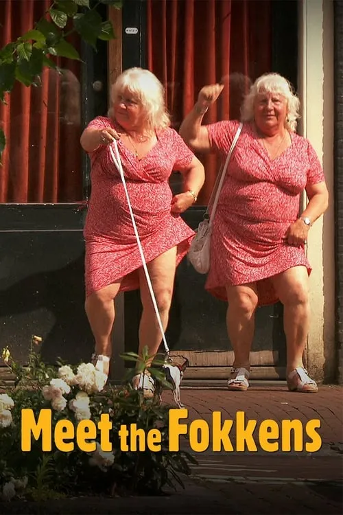 Meet the Fokkens (movie)