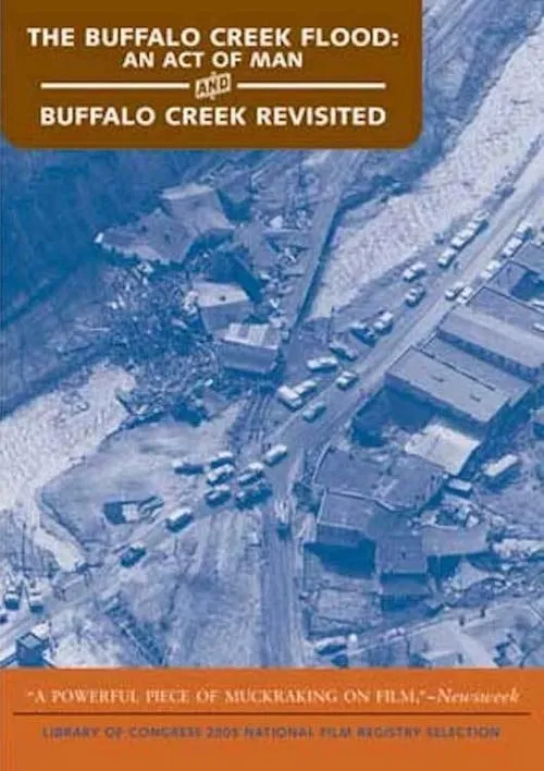 The Buffalo Creek Flood: An Act of Man (фильм)