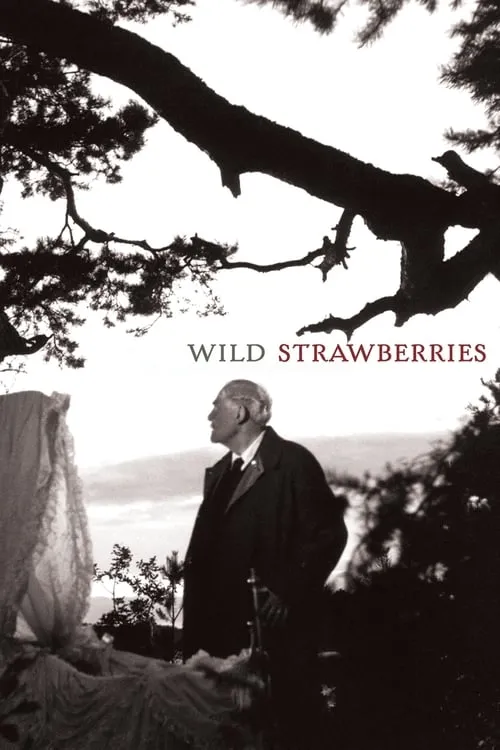 Wild Strawberries (movie)
